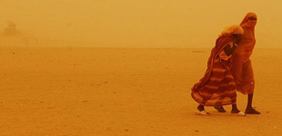 Crisis Guide: Darfur