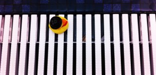 Pool Party