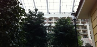 At the Gaylord